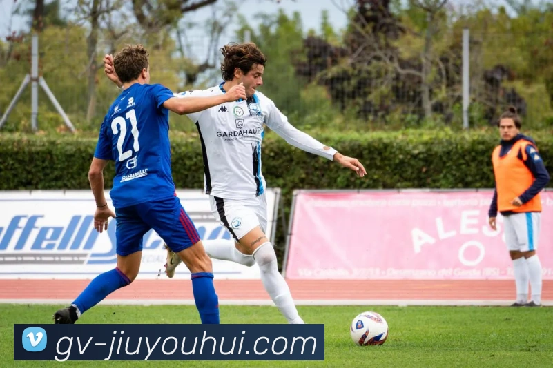 J9九游会官网平台生态图