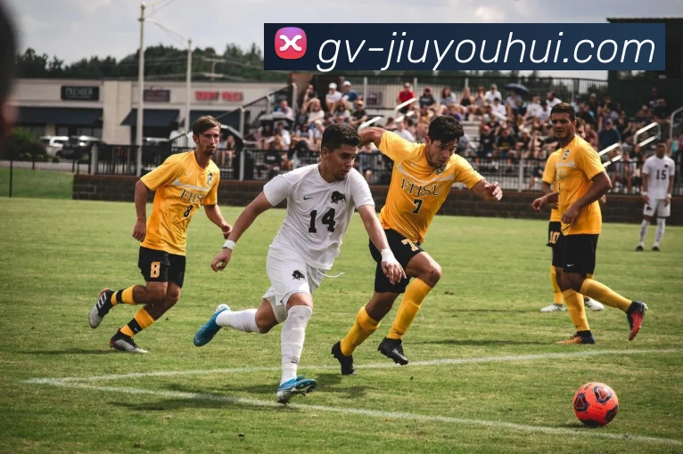 数据防护可视化